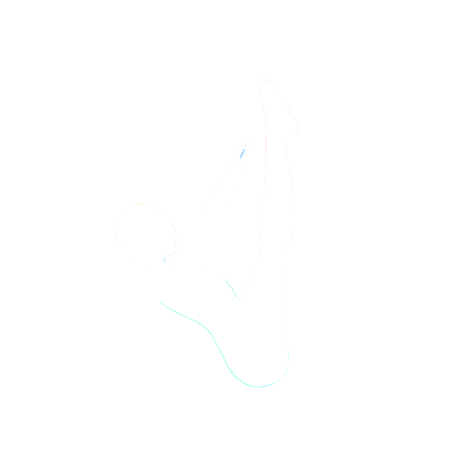 Pure Skill Diving